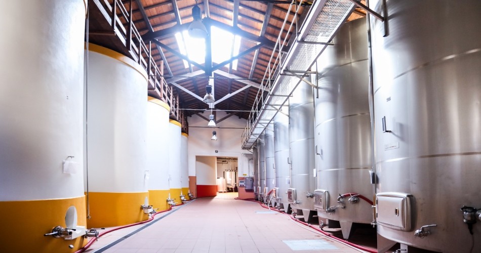 Donnafugata: 10 years of “best practices” in sustainability, from quality certification to respect for the environment