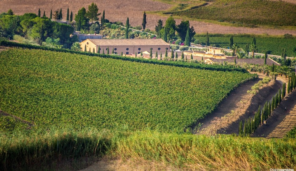 Donnafugata opens Contessa Entellina to wine-lovers