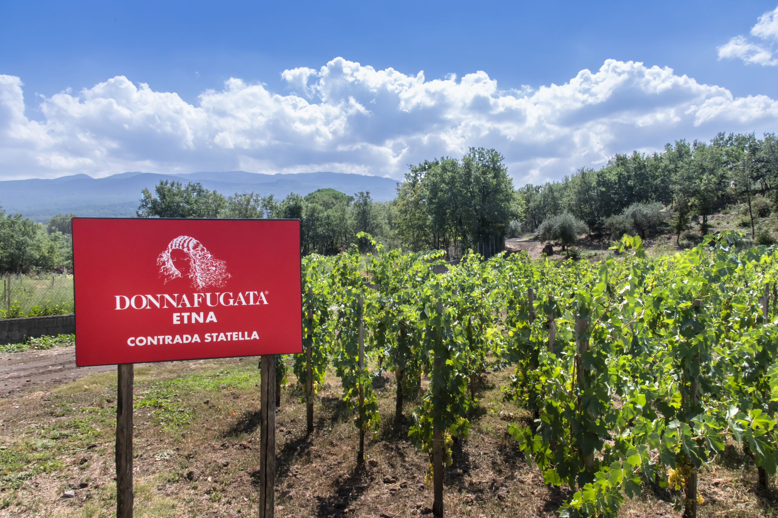 Visitare Etna