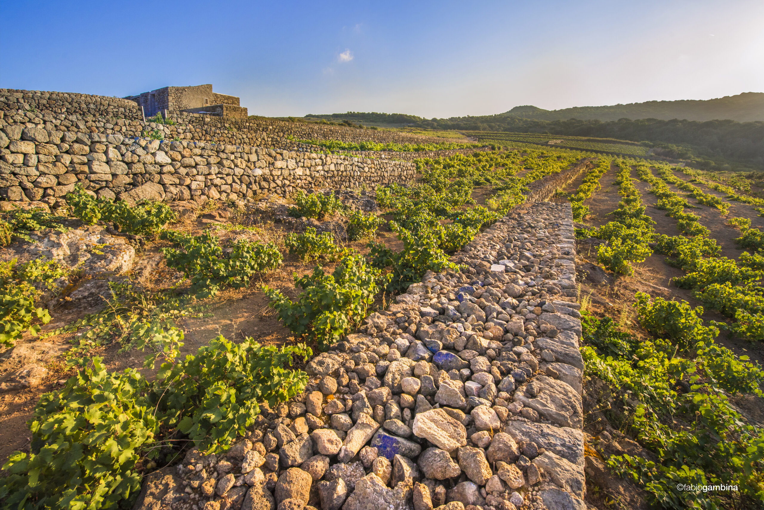 Pantelleria