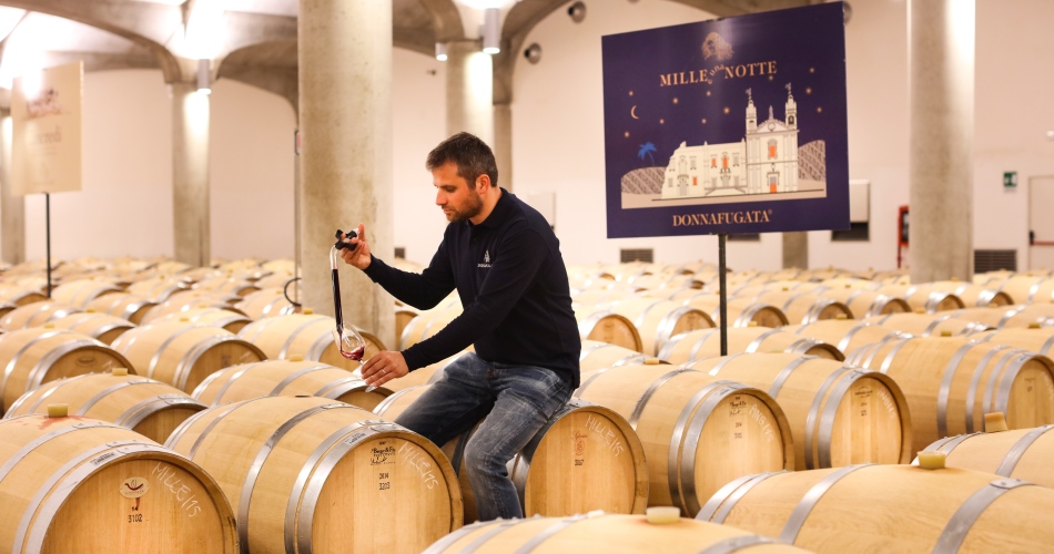 It’s San Martino, at Donnafugata each must is wine…