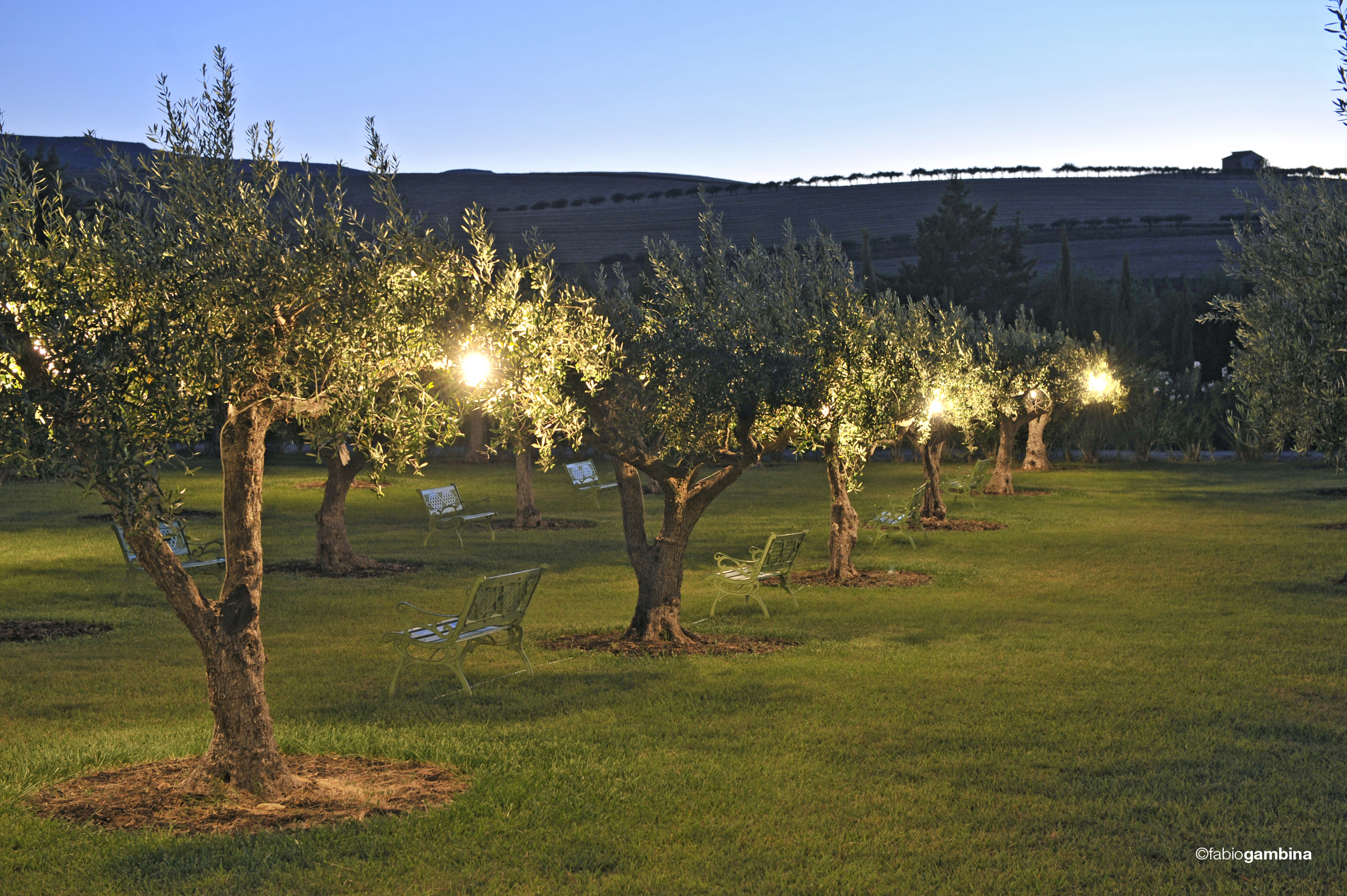 2016 Calici di Stelle e Vendemmia Notturna