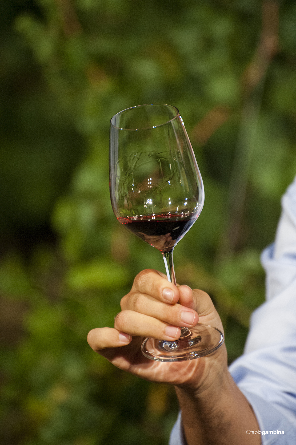 2016 Calici di Stelle e Vendemmia Notturna