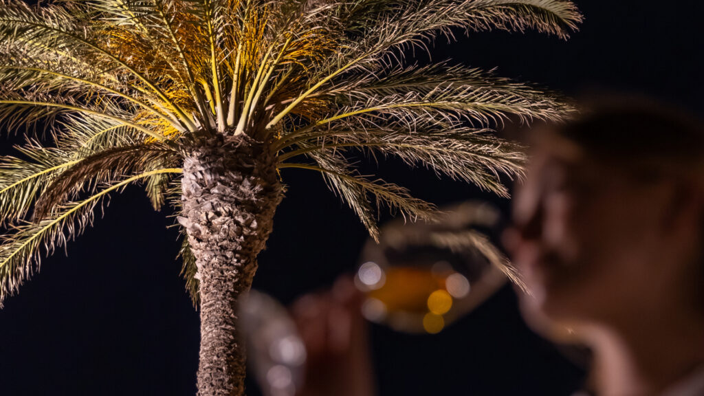 Calici di Stelle: immersive experiences where wine meets art and nature