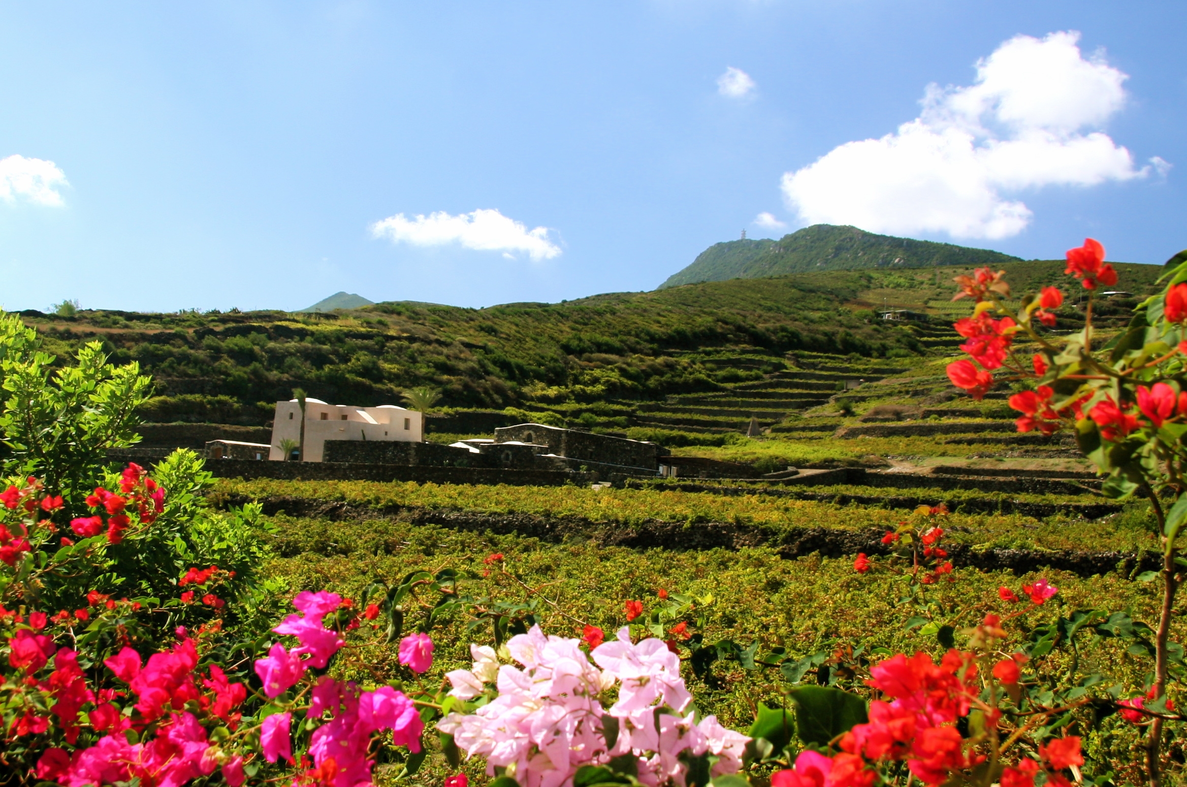 Visitare Pantelleria