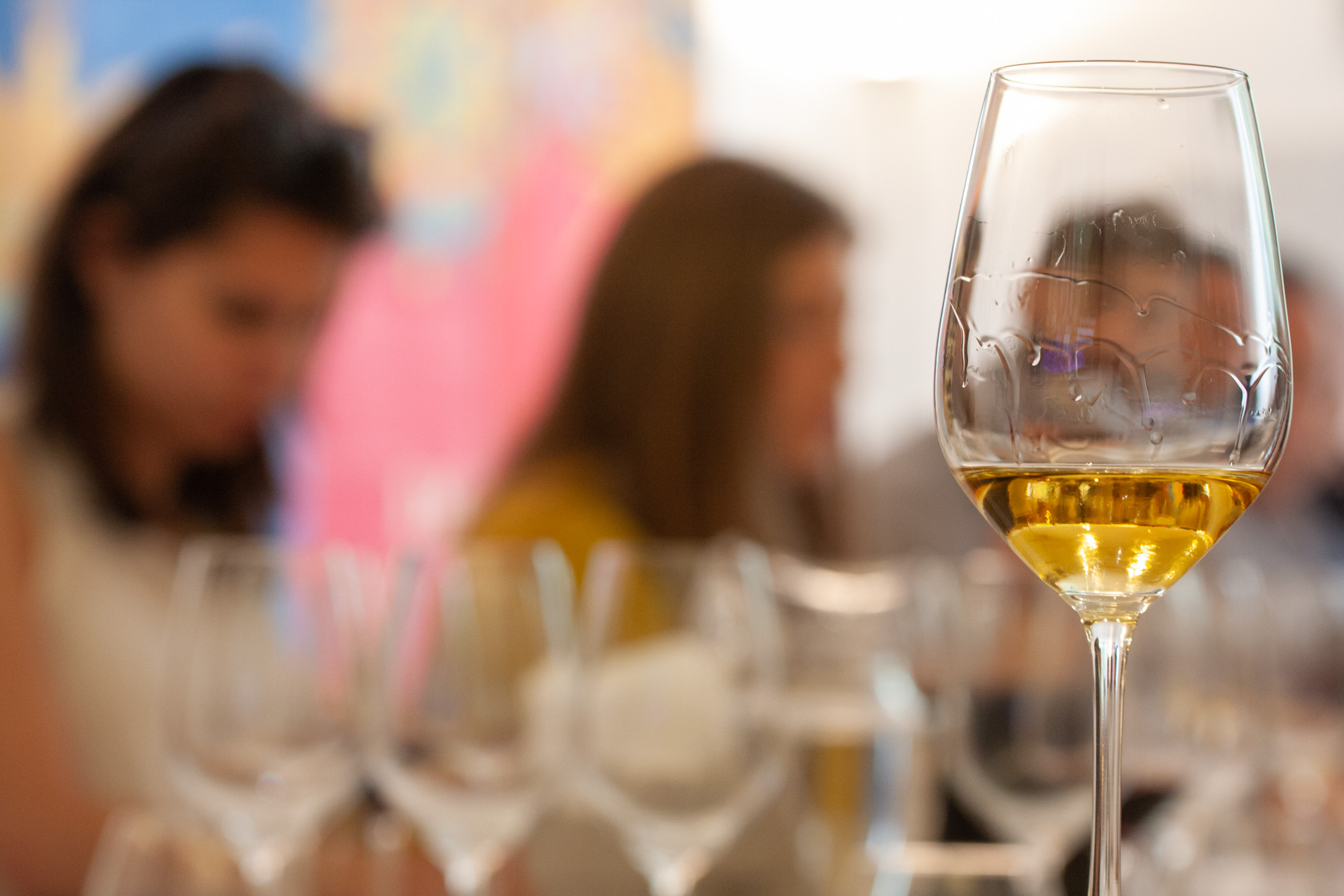 2018 Cantine Aperte