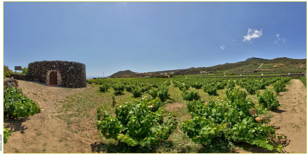 I giardini di Pantelleria e il “valore” dell’acqua