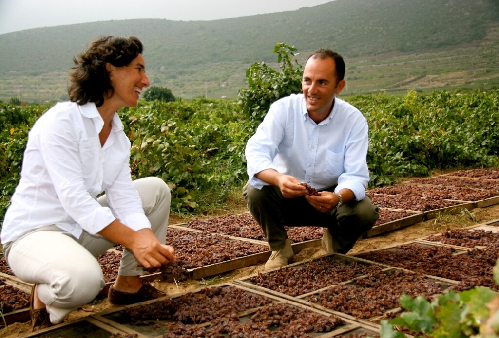 Donnafugata per la biodiversità ed il rimboschimento di Pantelleria
