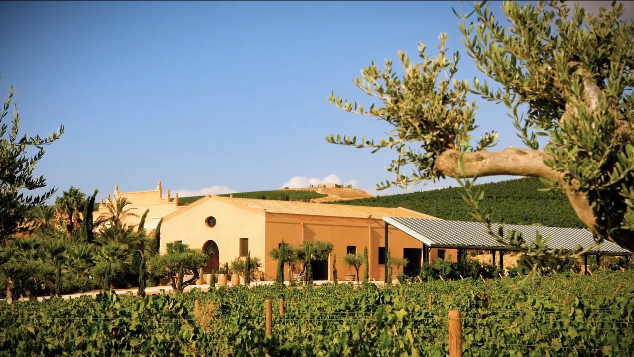 La tenuta di Contessa Entellina