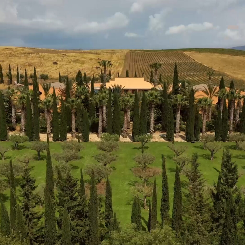 Donnafugata: grande viaggio nella tenuta di Contessa Entellina
