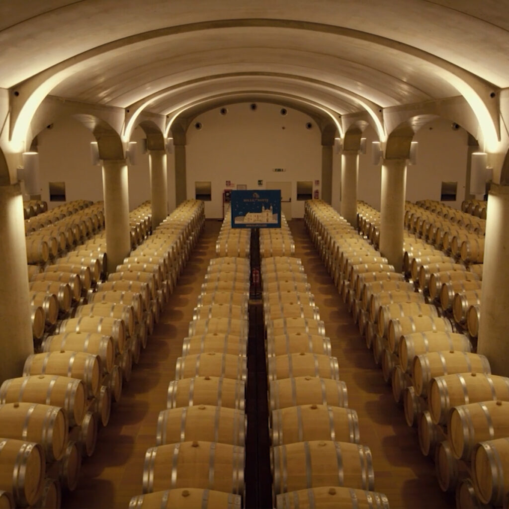 Donnafugata: grande viaggio nelle Cantine storiche di Marsala
