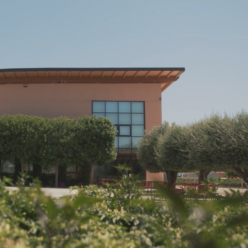 Donnafugata: grande viaggio nella tenuta di Vittoria