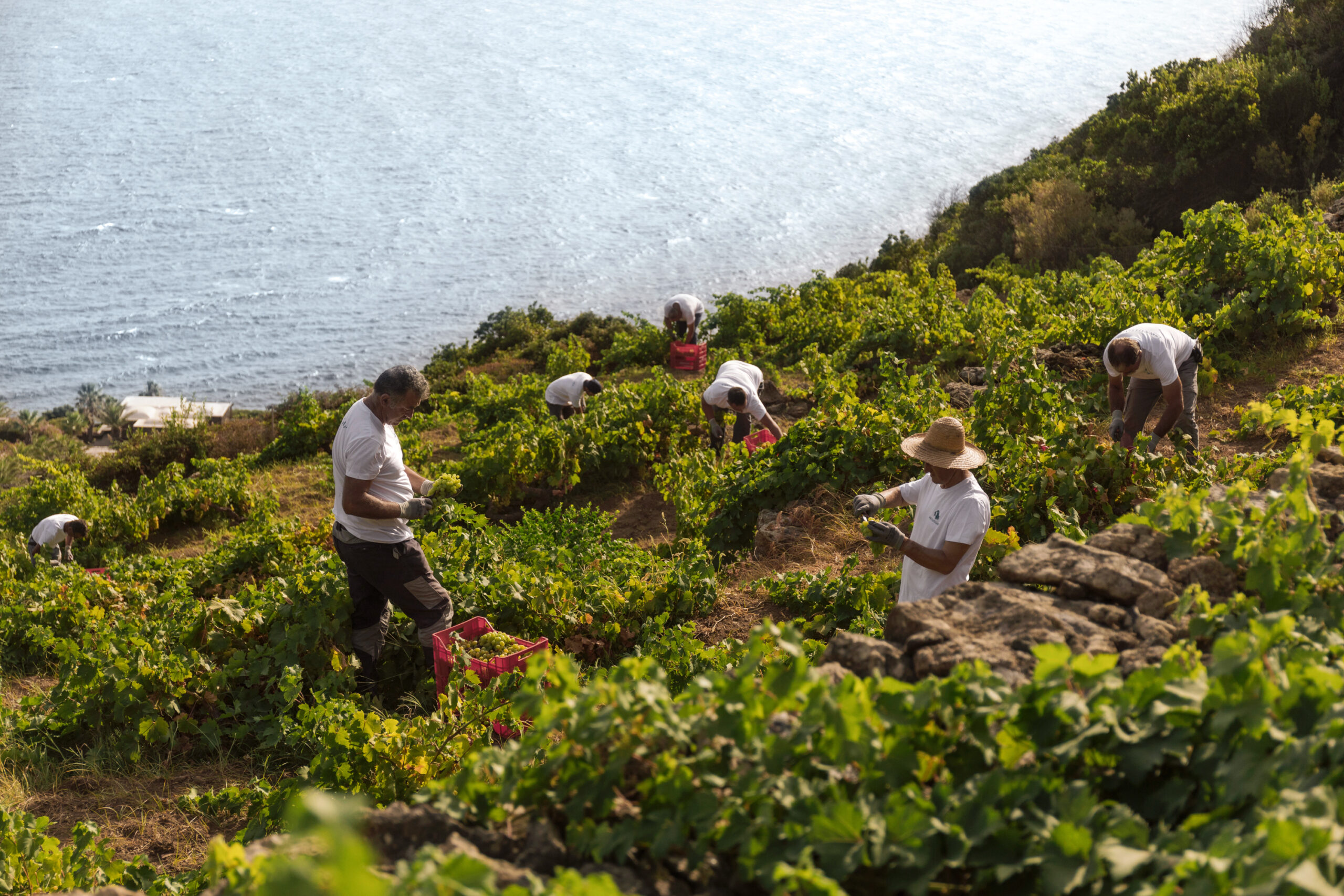 Pantelleria