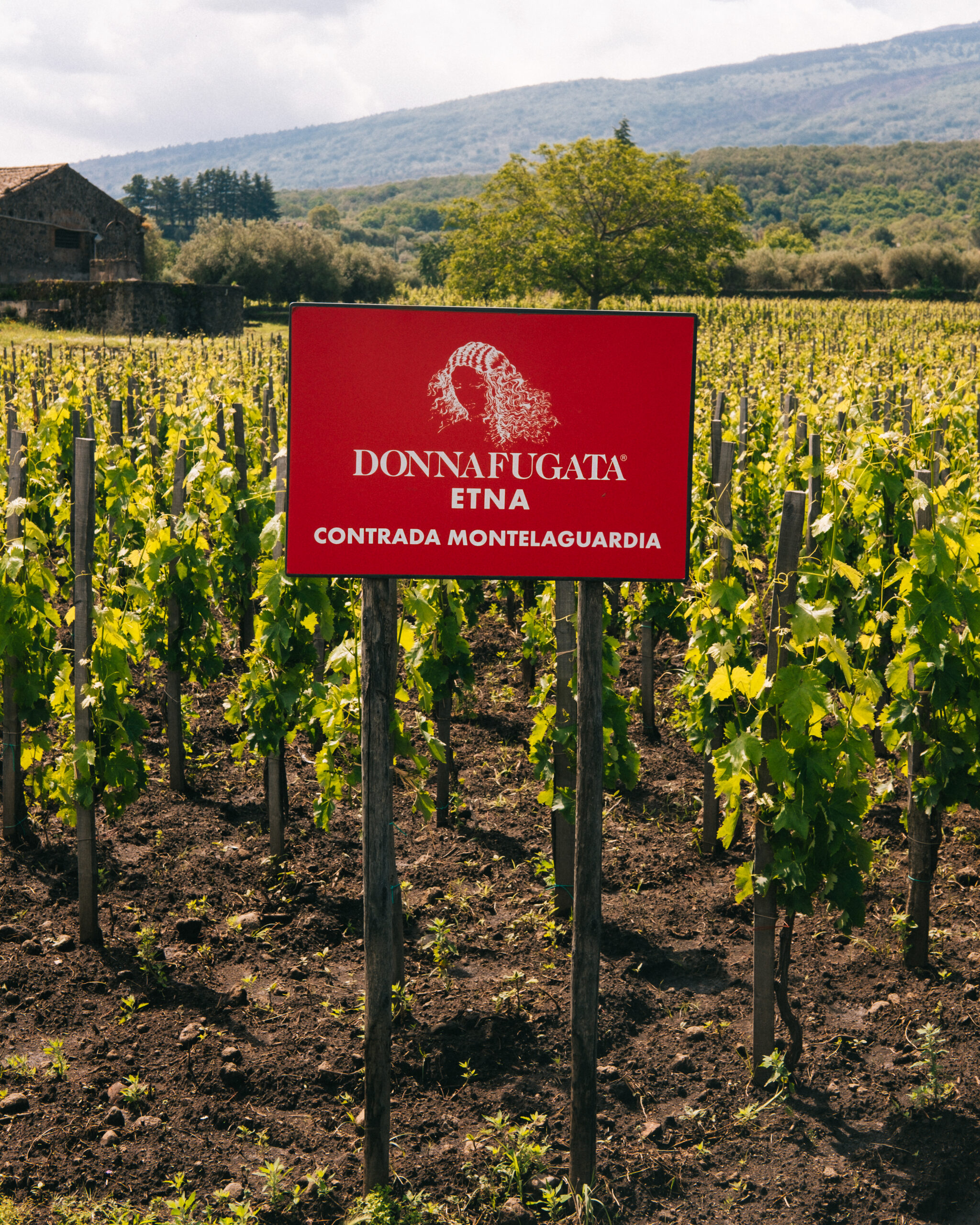 Visitare Etna