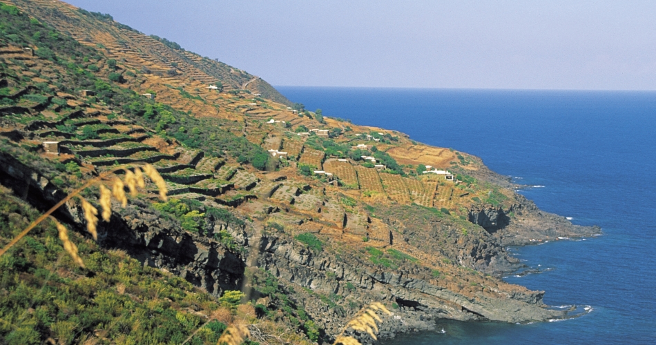Le strade della sostenibilità che portano a Donnafugata:  buone pratiche in vigna, energia pulita, biodiversità e carbon footprint.