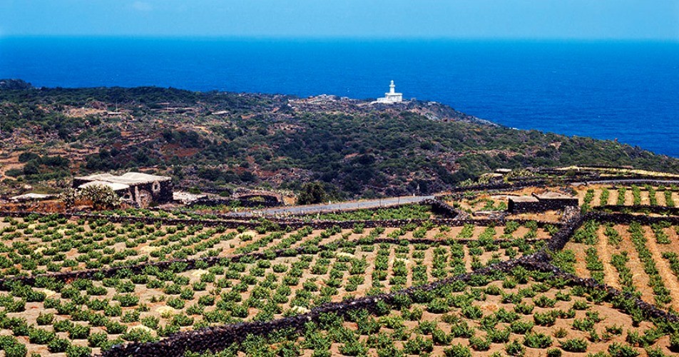 Pantelleria 1968-72, “Emozioni di un paesaggio” in the photos of Renato Bazzoni