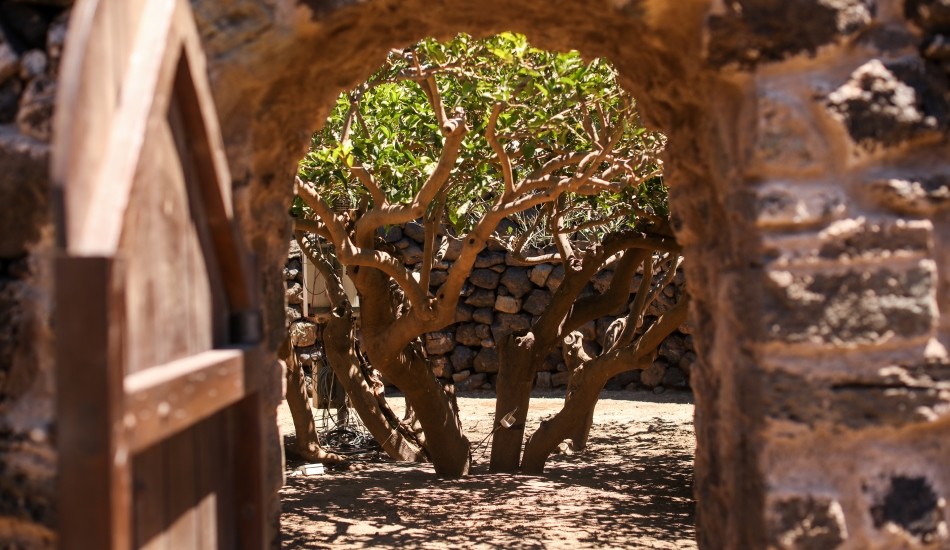 Giornate FAI di Primavera: il Giardino Pantesco Donnafugata apre al pubblico