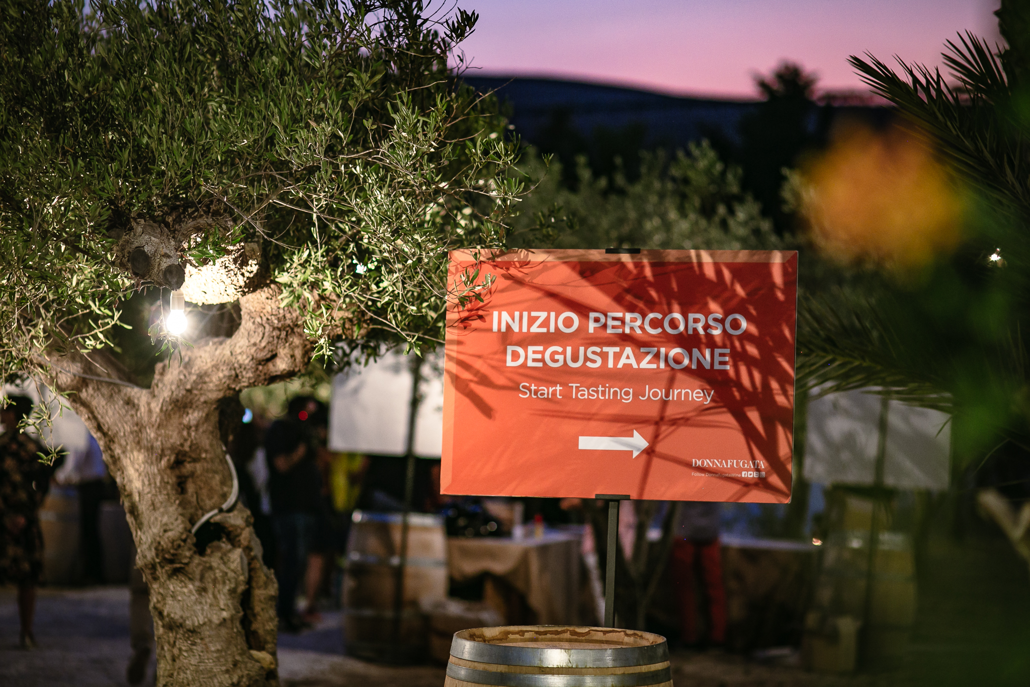 2019 Calici di Stelle