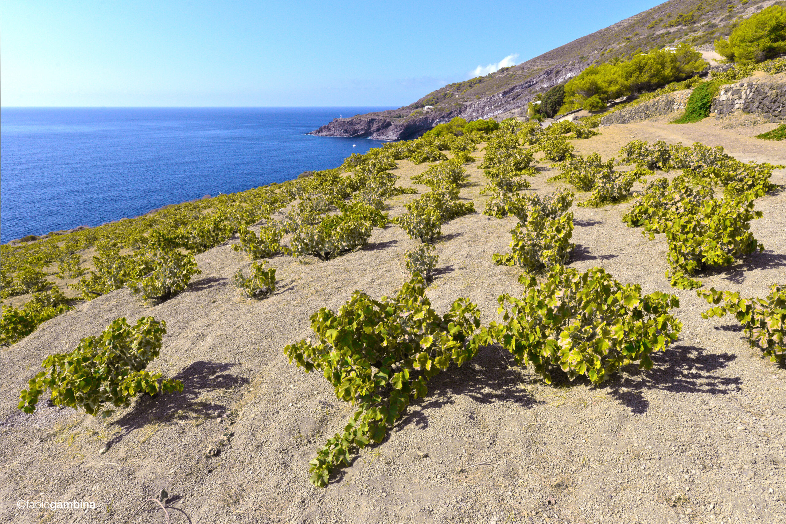 Pantelleria