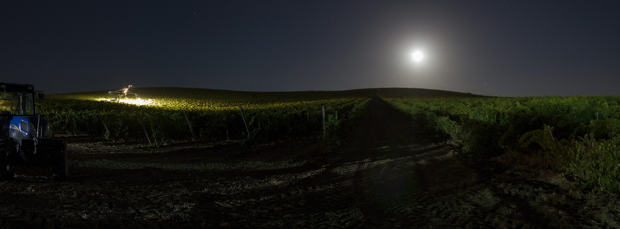 2016 Calici di Stelle e Vendemmia Notturna