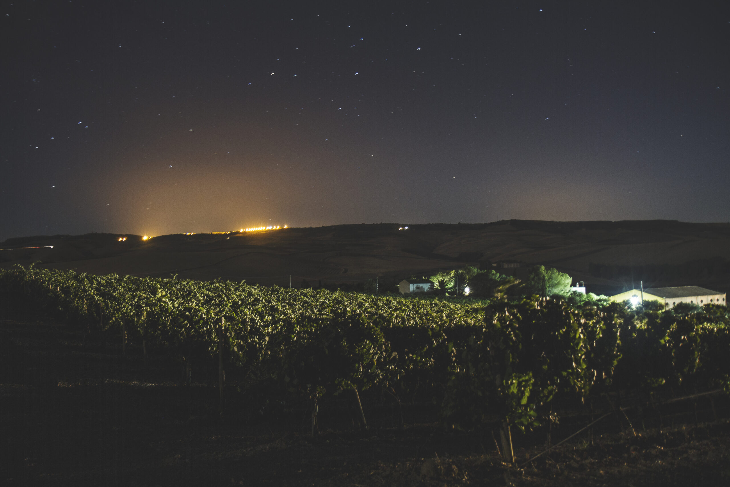 2016 Calici di Stelle e Vendemmia Notturna