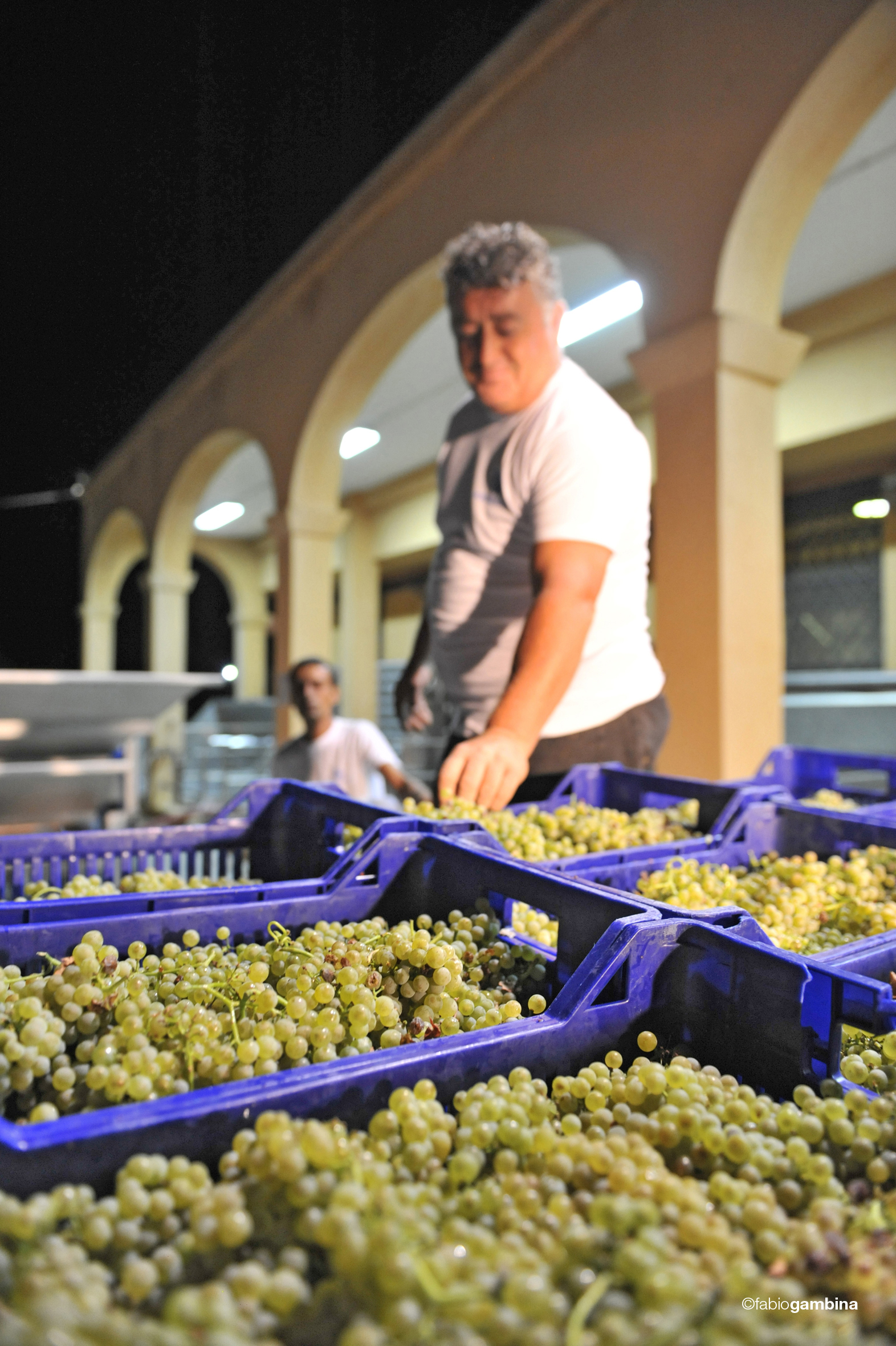 2016 Calici di Stelle e Vendemmia Notturna