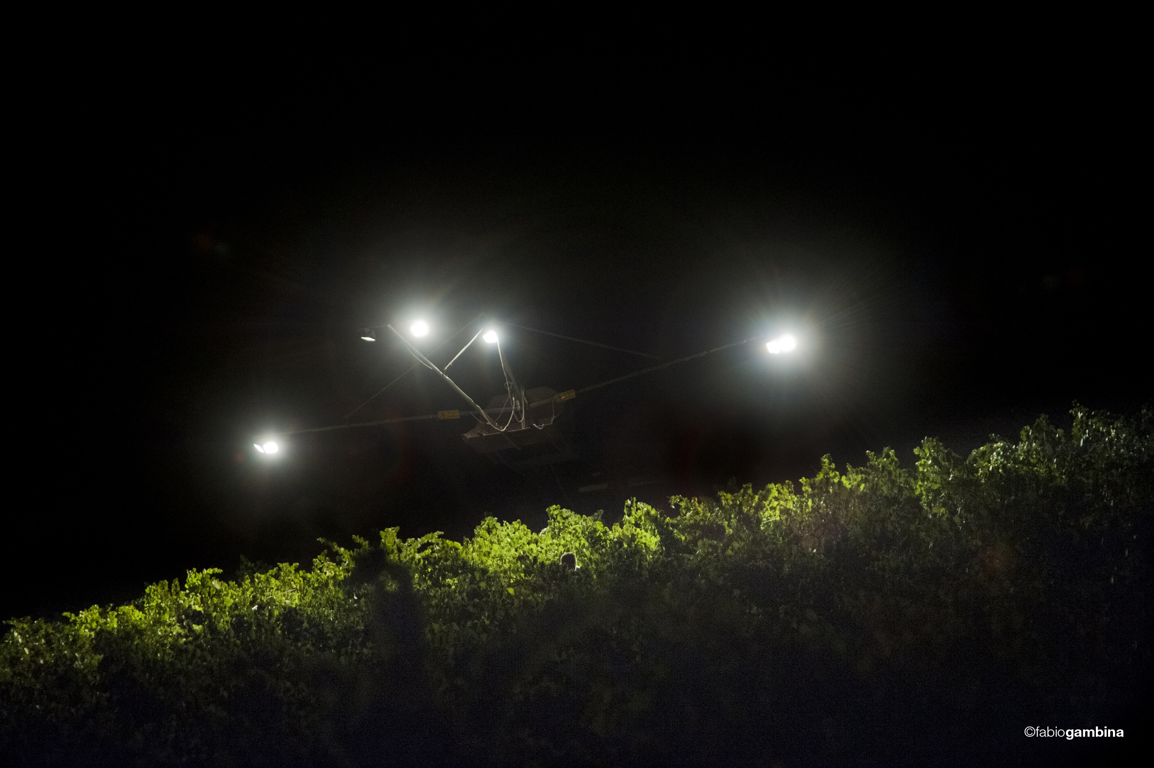 2016 Calici di Stelle e Vendemmia Notturna