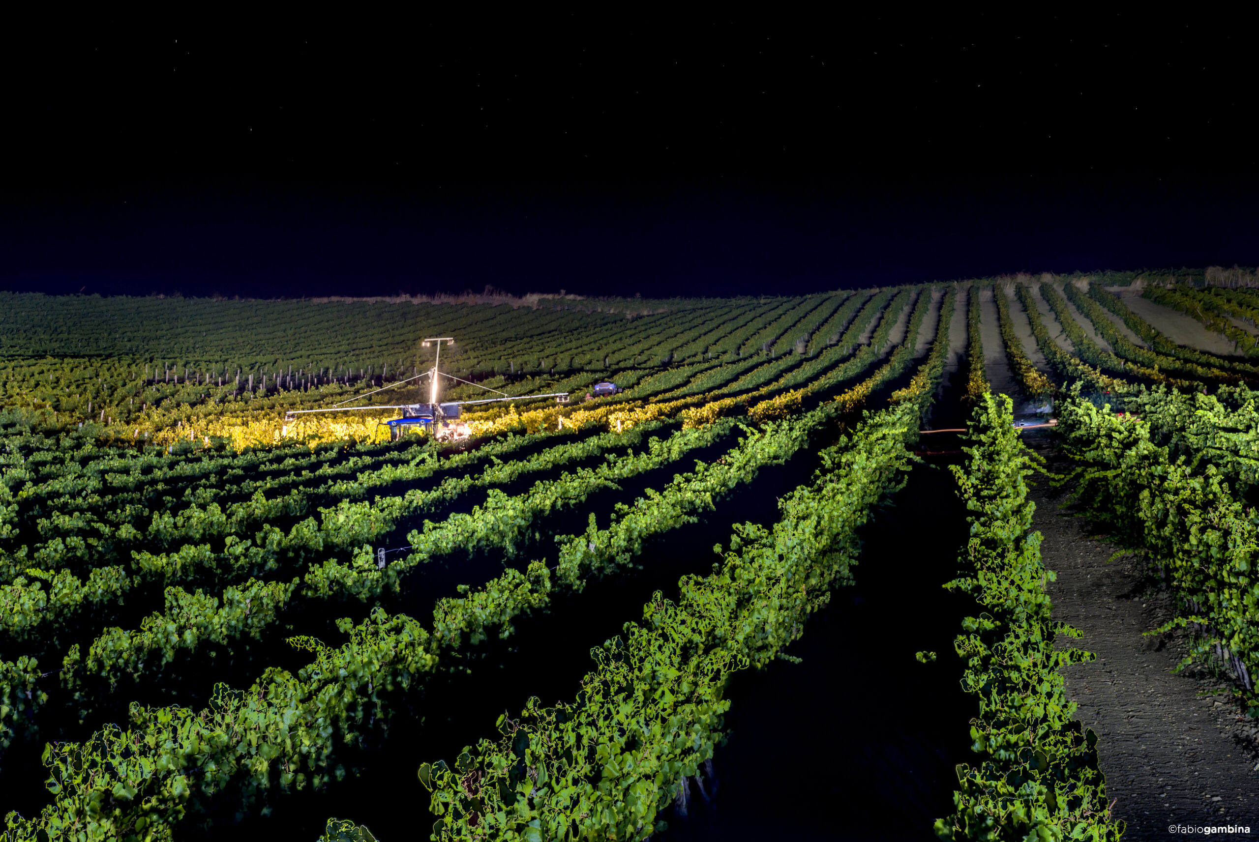 2016 Calici di Stelle e Vendemmia Notturna
