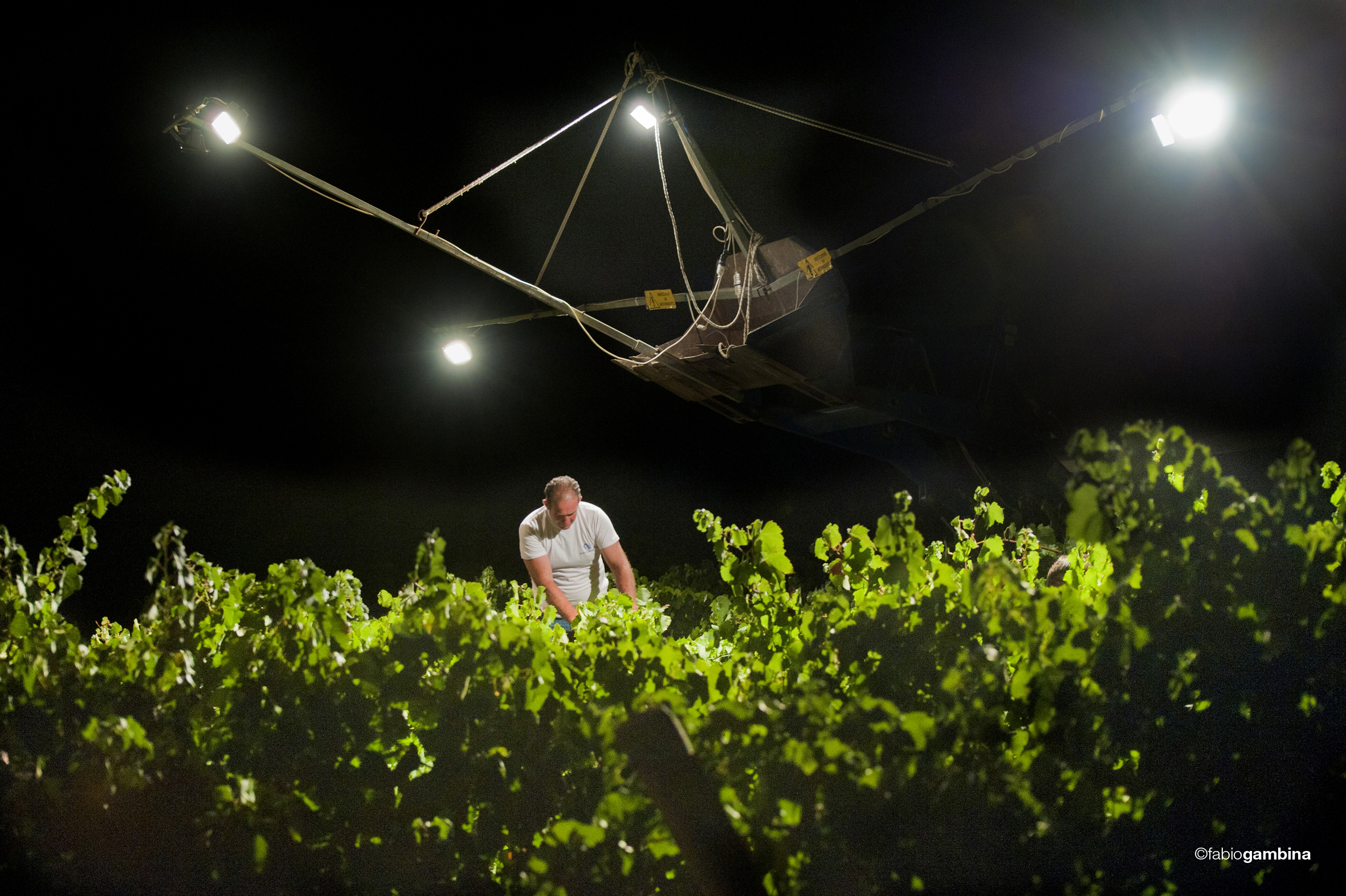 2016 Calici di Stelle e Vendemmia Notturna