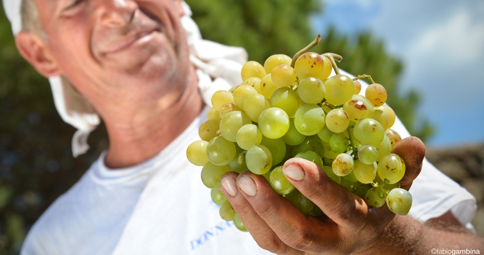 Donnafugata: nuovi importanti obiettivi raggiunti nel campo della sostenibilità e delle “buone pratiche”