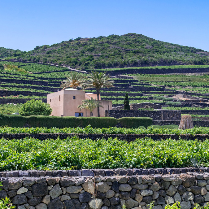 La tenuta di Pantelleria