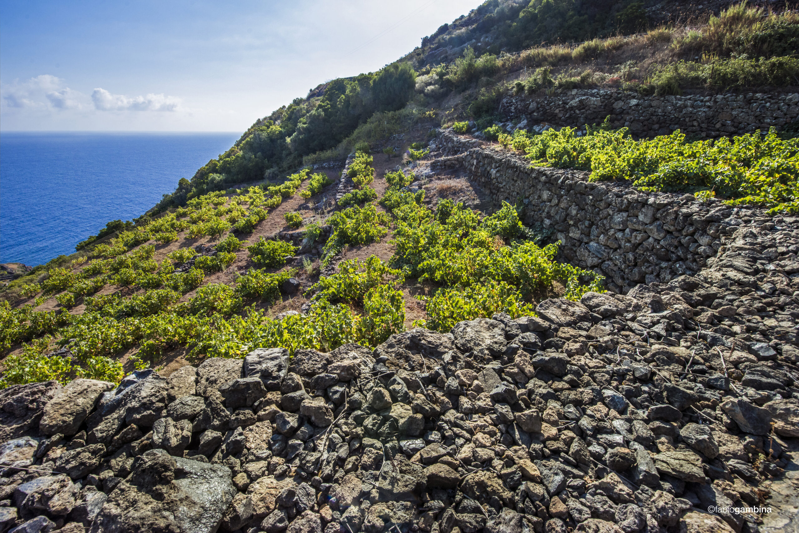 Pantelleria