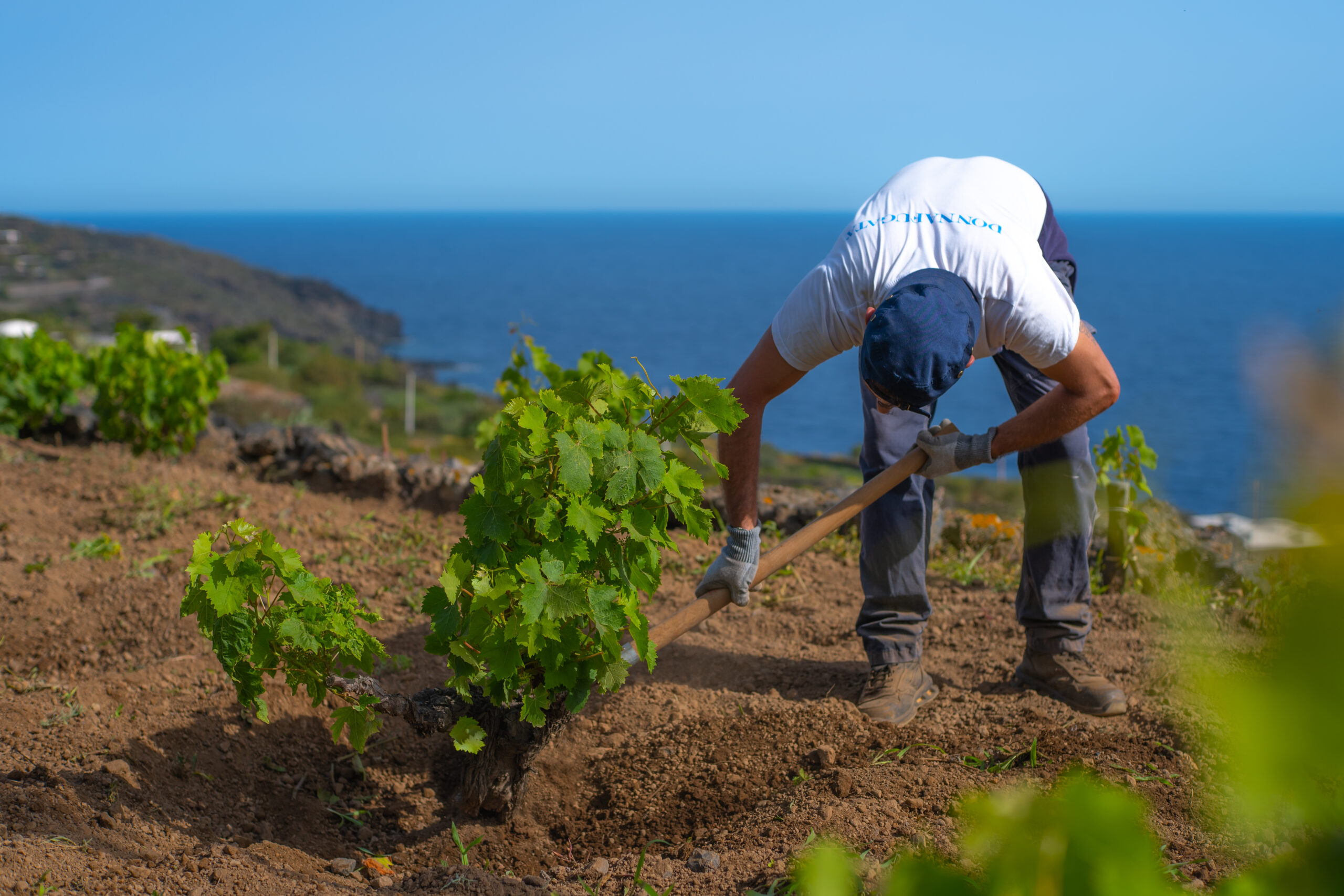 Persone a lavoro
