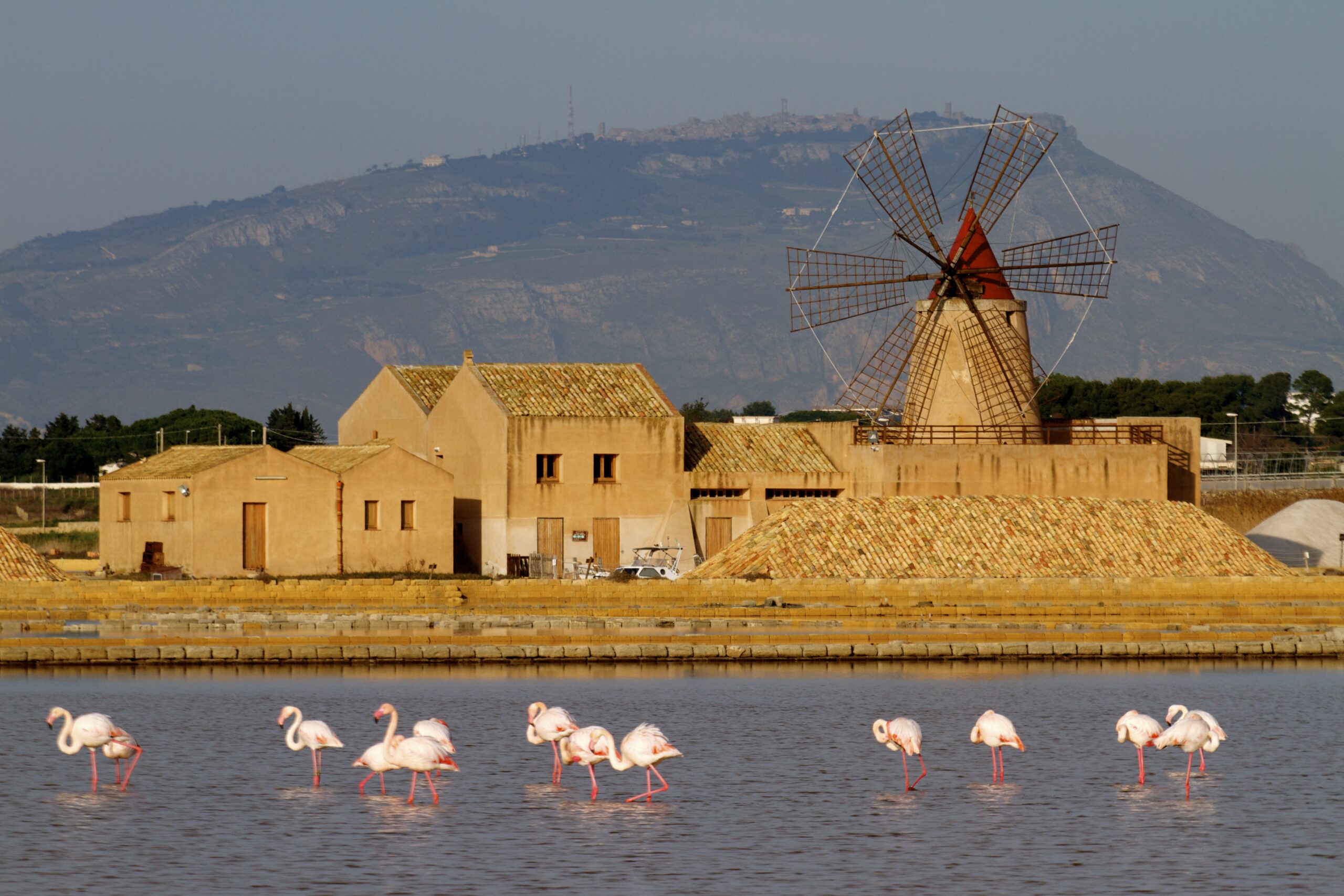 Cartoline dalla Sicilia