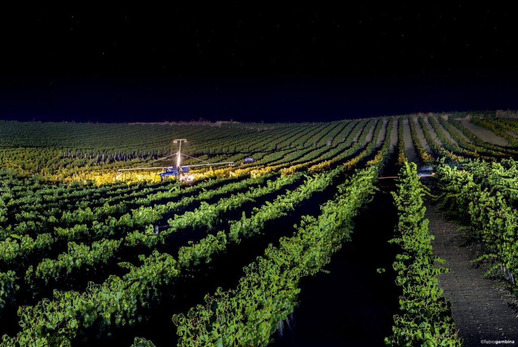 Calici di Stelle 2019 at Donnafugata