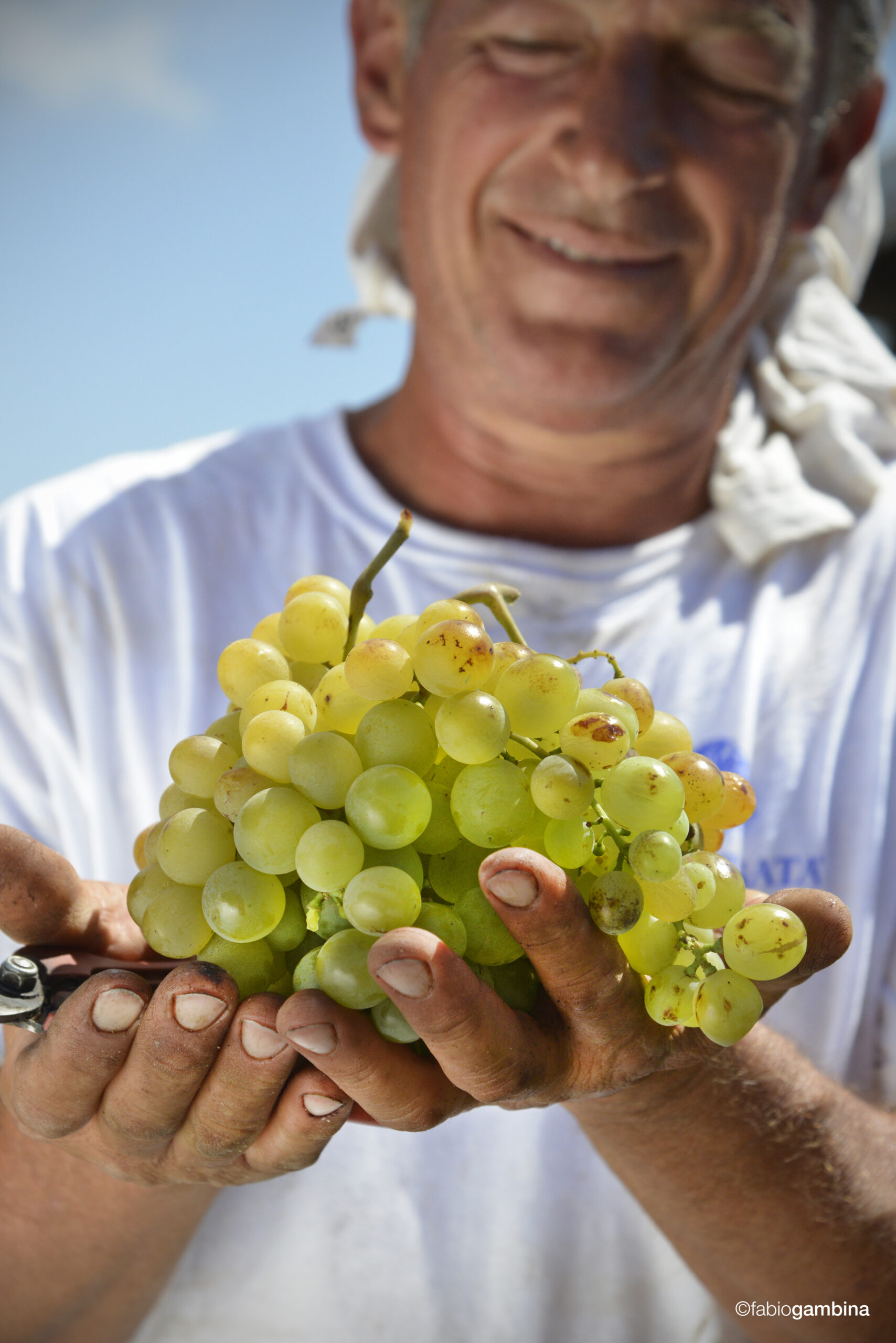 Pantelleria