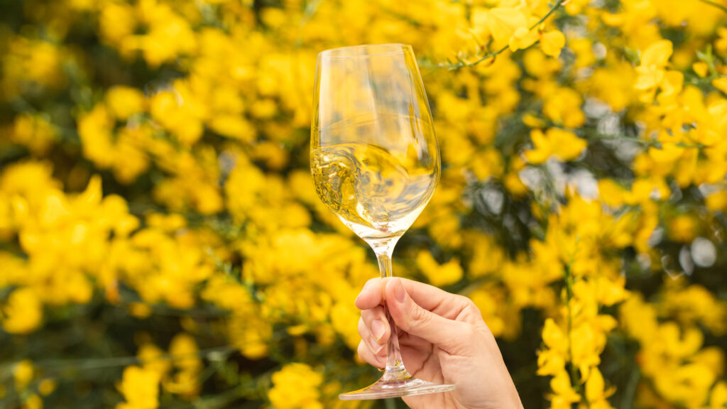 Cantine aperte, alla scoperta del mondo di Donnafugata