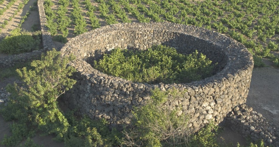 Il giardino pantesco di Khamma in dono al FAI