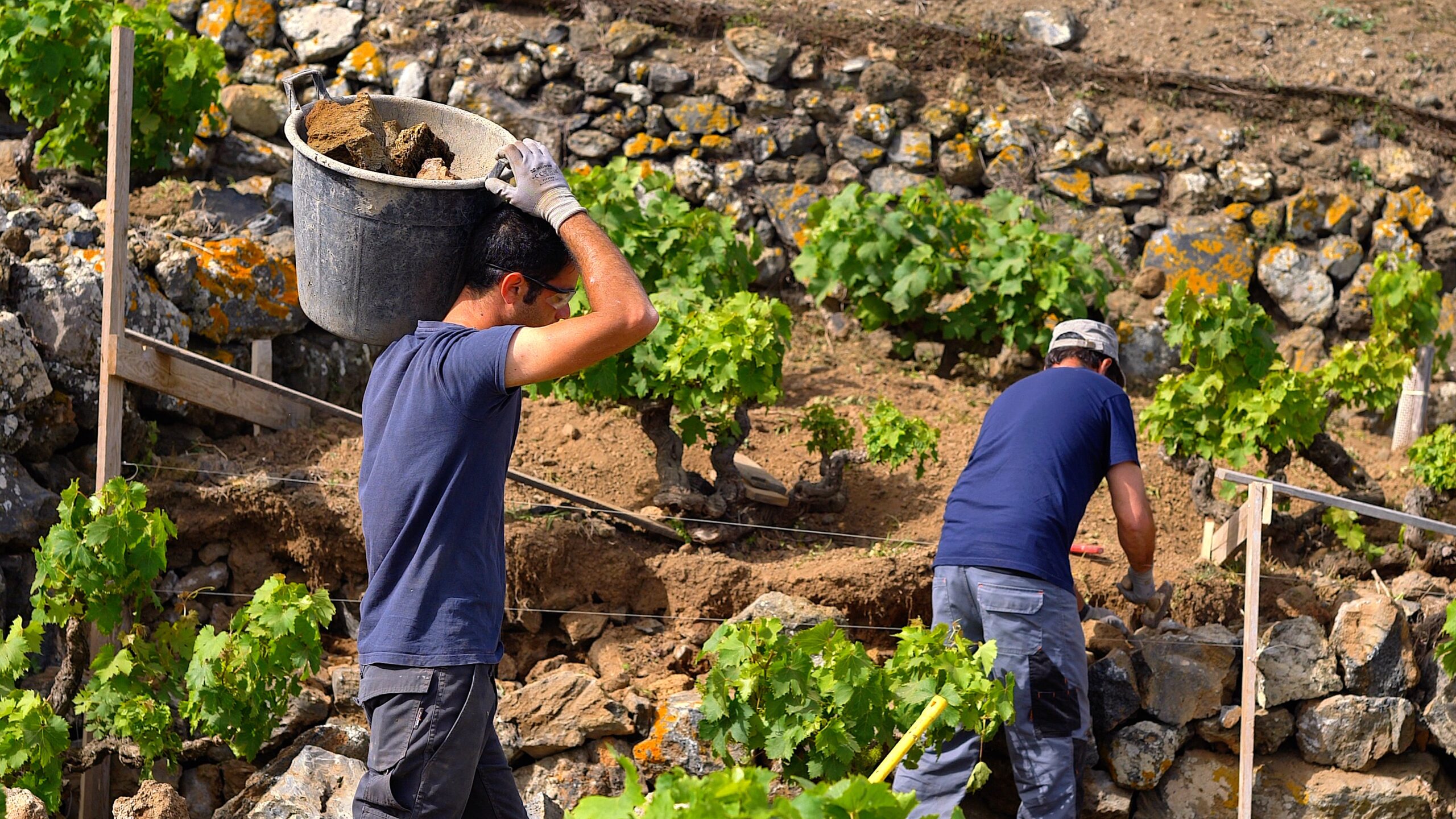 Persone a lavoro