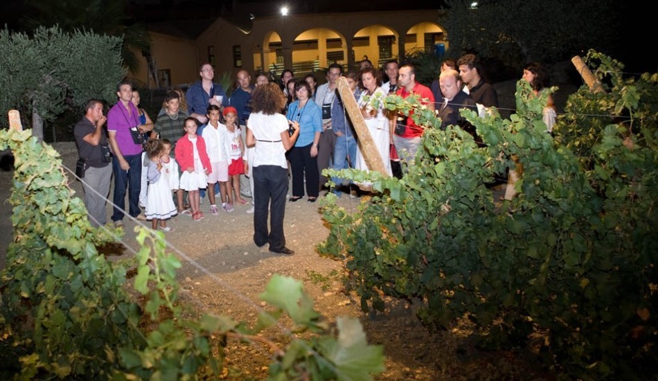 Calici di Stelle 2010 at Donnafugata