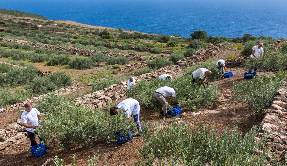 Biancolilla, i sapori e le emozioni uniche di Pantelleria