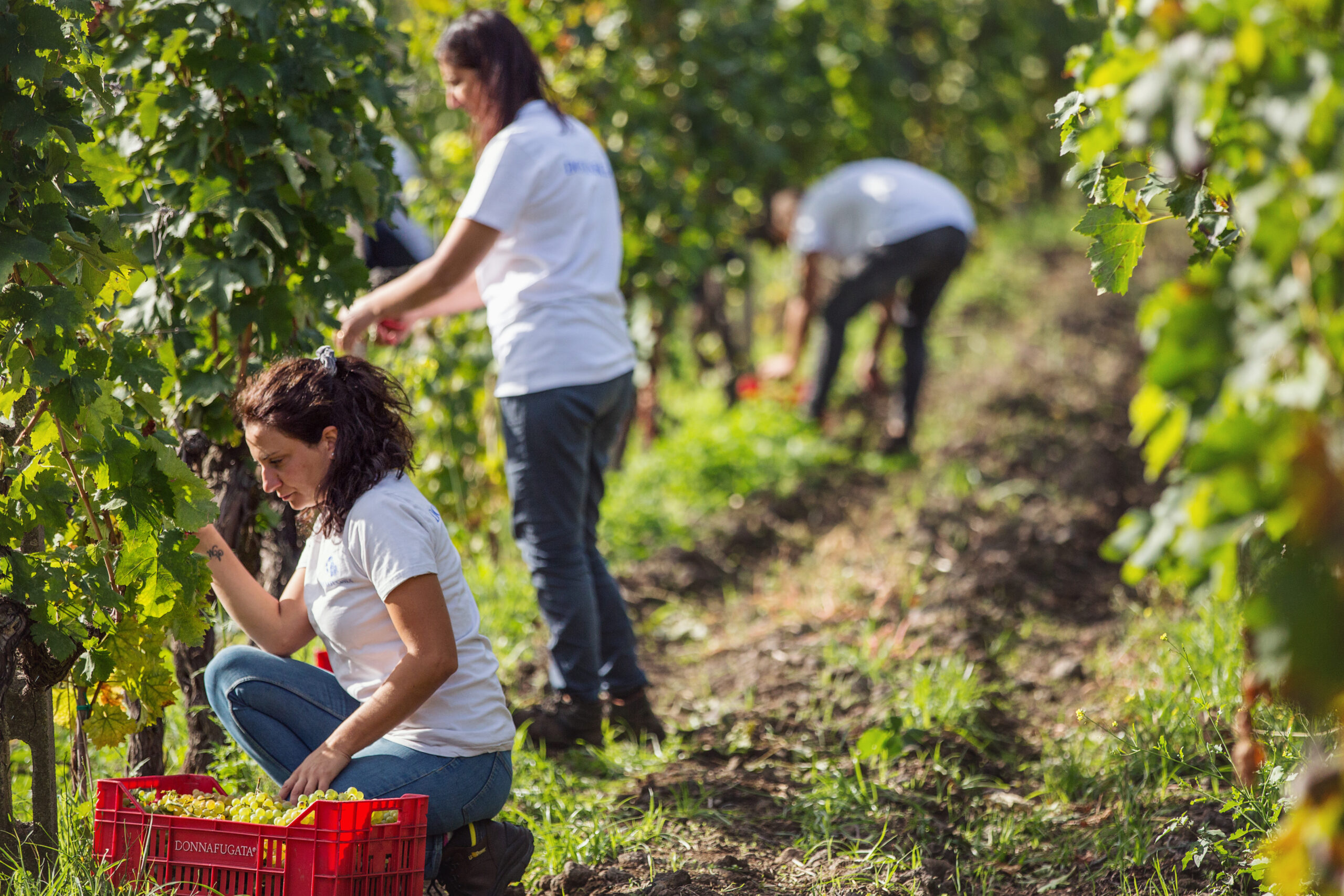 Persone a lavoro